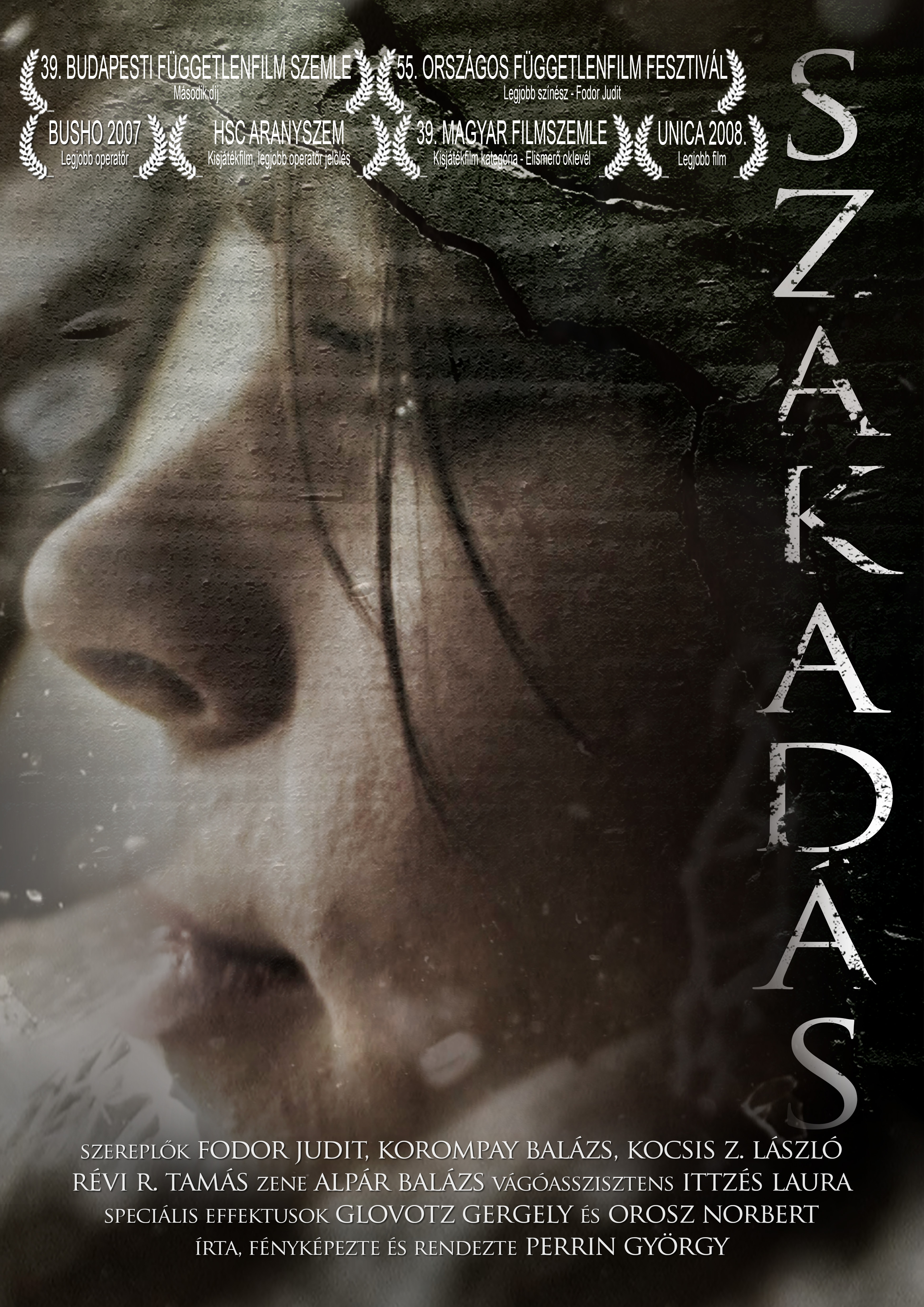 Immersed — film poster